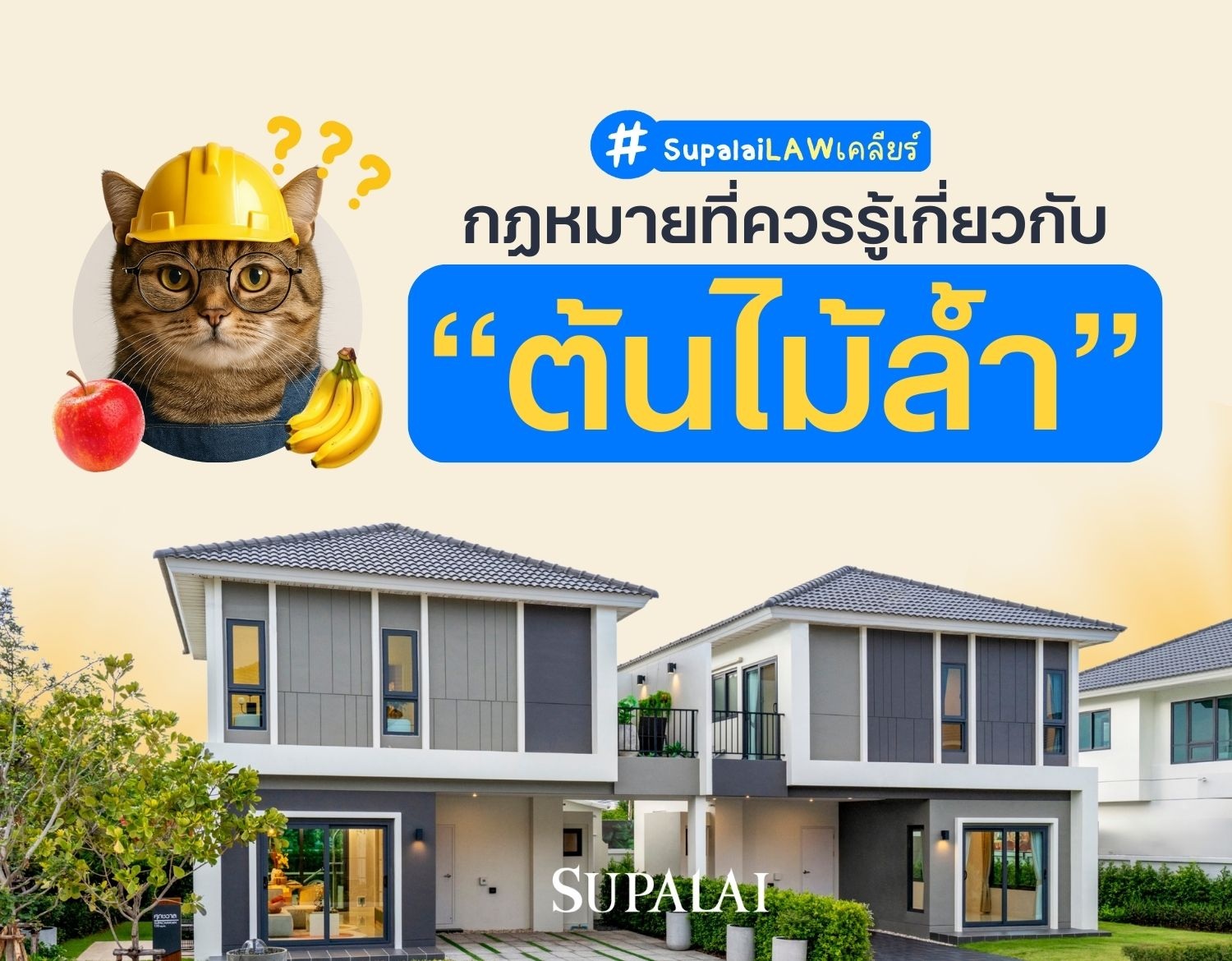 กฎหมายเกี่ยวกับต้นไม้ล้ำที่ควรรู้  ต้นไม้เพื่อนบ้านรุกล้ำ เราจะทำได้อย่างไรบ้าง.jpg